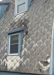 tile roof shingles
